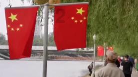 我是1994年生的,我可以找一个1987年生的女朋友吗?-机智问答网页,智能解答你的问题