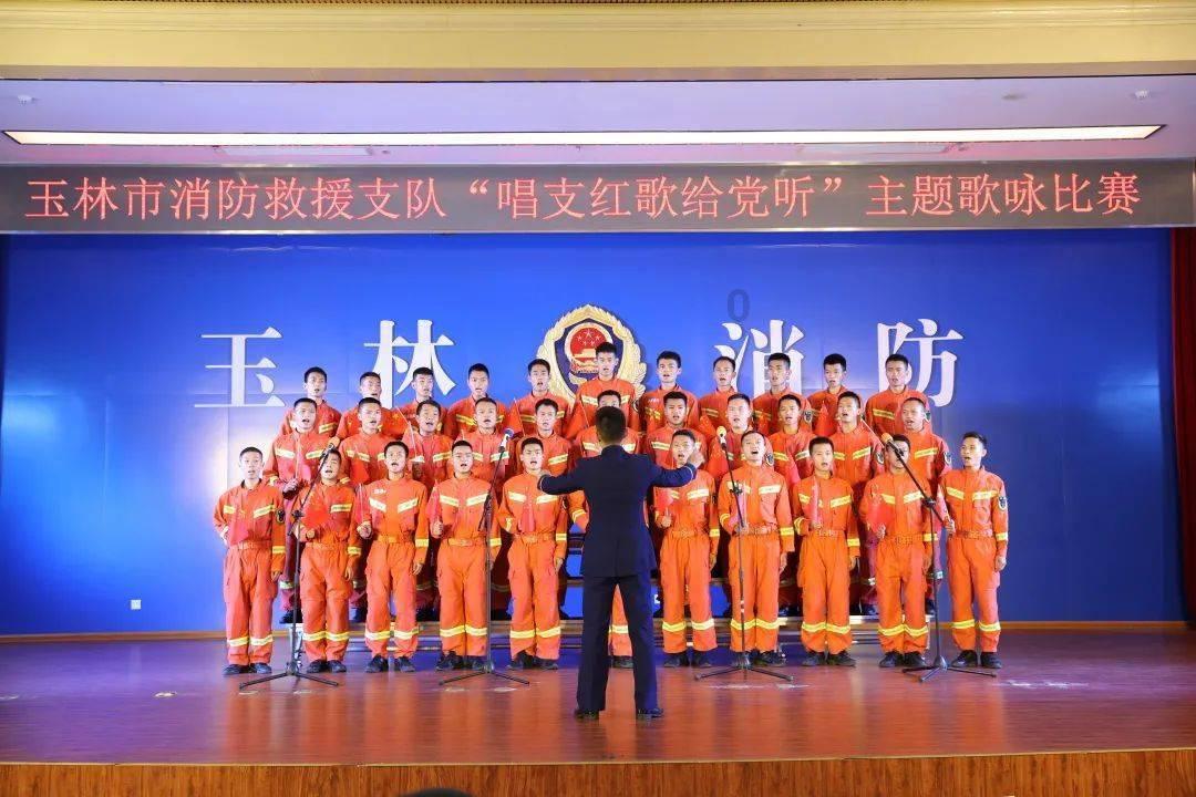植物大战僵尸6